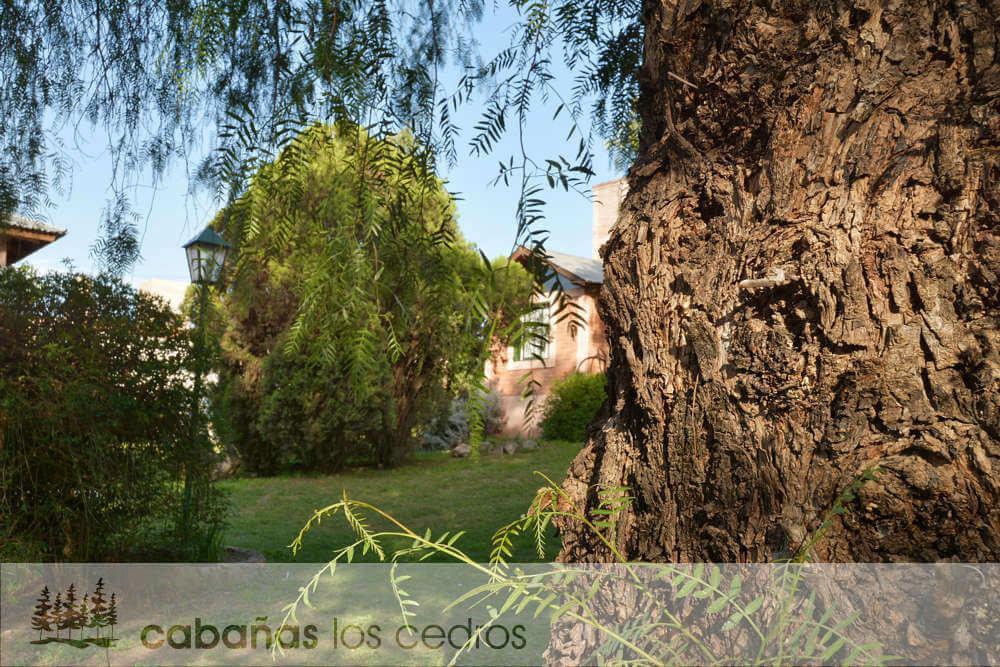 Cabanas Los Cedros Hotell Tanti Eksteriør bilde